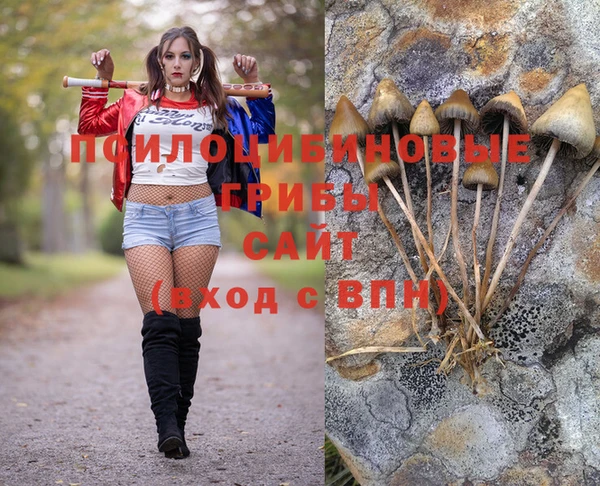 шишки Алексеевка