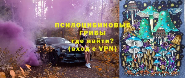 дмт Алексин