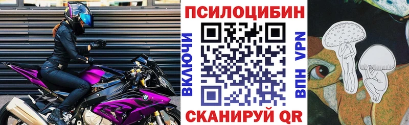 Псилоцибиновые грибы мицелий Светлоград